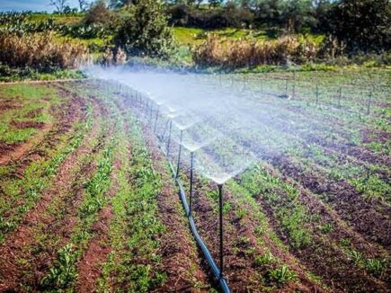 Irrigazione a goccia: tutti i vantaggi