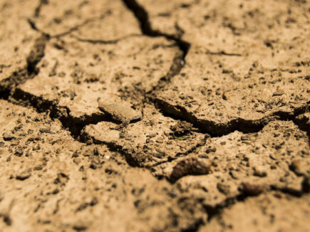 Drought effects on agriculture