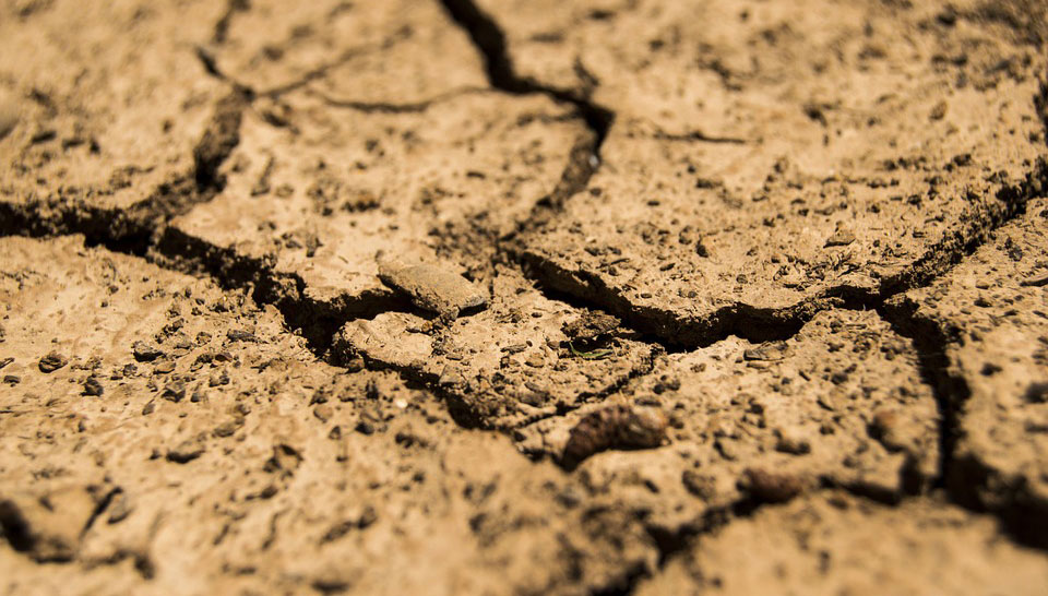 La siccità e le conseguenze per l’agricoltura